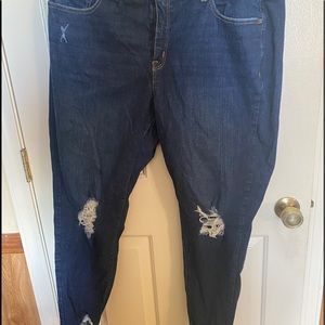 Lane Bryant Skinny Jeans with rugged look at knees and ankles. Sz 20R